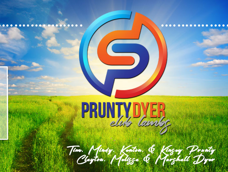 Prunty & Dyer Club Lambs